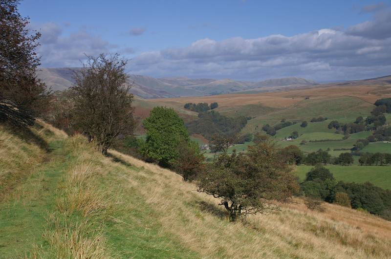 Under Combe Scar. 